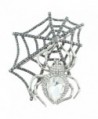 EVER FAITH Austrian Crystal Halloween Gothic Style Spider Web Teardrop Brooch - Clear Gold-Tone - C411CHAVZNN