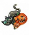 Halloween Kitten Lantern Pumpkin Costume