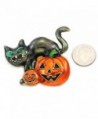 Halloween Kitten Lantern Pumpkin Costume in Women's Brooches & Pins