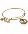 Alex and Ani Womens Nautical Charm Bangle - Rafaelian Gold Finish - C7118VNEBTV