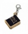 Jewelry Monster Clip-on Goldtone "Holy Bible" Charm Bead - CN11VTEZXMN