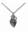 Anatomical Full 3D Human Heart Necklace Anatomic Heart Pendant Nickel free Alloy - CK185Y960GW