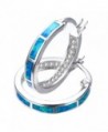 925 Sterling Silver Women's Hoop Earring-White and Blue Earring For You choose Perfect Match - CM187NT4MYE