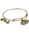 Alex and Ani Womens San Francisco 49ers Football Charm Bangle - Rafaelian Gold Finish - C011GMUGOCH