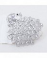Gorgeous Bridesmaid Jewelry Crystal Silver tone in Women's Brooches & Pins