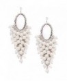 Rhinestone Dangle Chandelier Drop Earring CZ Pearl Bridal Jewelry Stud Back - silver - CI12O5RYSZF