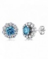 4.00 Ct Round Swiss Blue Topaz Gemstone Birthstone 925 Sterling Silver Stud Earrings - C311Q6FFPL9