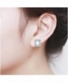 HONGYE Platinum Elements Zirconia Earrings