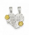 Sterling Silver Two-tone Big Sis Lil Sis 2-Piece Break Apart Heart Charm - CE112G85IZN