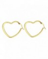 Nicever Stainless Steel Large Earrings