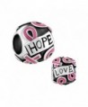 CharmsStory Breast Cancer Awareness Pink Ribbon Charms Beads For Bracelets - CS128DKAGHB
