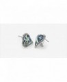 Neoglory Platinum Swarovski Elements Earrings