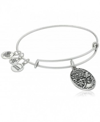 Alex and Ani Because I love you- Mom II Expandable Rafaelian Bracelet - Rafaelian Silver Finish - CA12CLZ57BZ