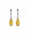 925 Sterling Silver Drop Leverback Dangle Earrings with Genuine Natural Baltic Amber. - Honey - C317YZ9QM3T