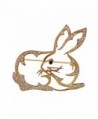 Alilang Golden Tone Clear Crystal Colored Rhinestones Cutout Bunny Rabbit Brooch Pin - C61143SAS0X