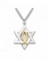 Sterling Silver Star of David with Gold Tone Ichthus Fish Pendant- 7/8 Inch - CG1149QZQ4X