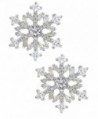 Snowflake 925 Silver Stud Earrings in Women's Stud Earrings