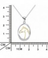 Sterling Silver Zirconia Pendant Necklace in Women's Chain Necklaces