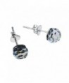 Rainbow Fashion Crystal Sterling Earrings in Women's Stud Earrings