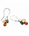 Dangle Amber Multi Color Green- Lemon- and Cognac Amber Earrings - CC11BJFBTGB