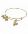 Alex Ani Womens Cupids Rafaelian in Women's Bangle Bracelets