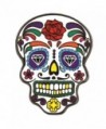 PinMart's Day of the Dead Dia de Muertos Halloween Enamel Lapel Pin - C712MA32WSY