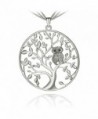 SCIONE Czech Stones Owl Kabala Tree of Life Pendant Necklace with 27 Inch Chain (Silver) - C712NSWJLOK