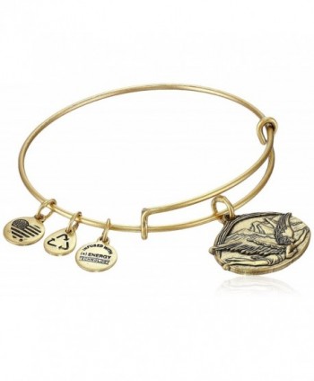 Alex and Ani Guardian of Freedom Expandable Wire Bangle Bracelet- 2.5" - Rafaelian Gold - C111T8VQUVR