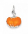 Sterling Silver Orange Enameled Pumpkin Charm - CK113PTDDWR