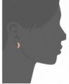 Fossil JF02103710 Glitz Stud Earrings
