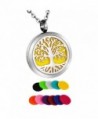 HooAMI Aromatherapy Essential Oil Diffuser Necklace - Tree of Life Round Pendant Locket - " Velvet Bag " - C912MFUUGR1