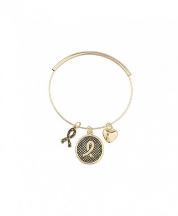 Lux Accessories Goldtone Awareness Bracelet