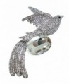 TTjewelry Fashion Phoenix Bird Austria Crystal Brooch Pin Pendant - White Silver-tone - CM12B7D6CMZ