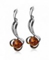 Sterling Silver Amber Earrings Pendant