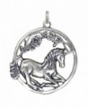 Sterling Silver Round Sitting Unicorn Charm - C8114FNNEYT