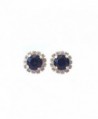 Swarovski Crystal Halo Setting Stud Earring - Burgundy - C618802ZMRI