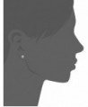 Stainless Steel Skull Earrings round