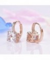 GULICX Zircon Sparkle Crystal Earrings in Women's Hoop Earrings
