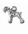 Sterling Silver 3D Small Schnauzer Bobtail Pet Dog Breed Animal Charm - CK11GR8TCRN