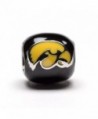 Hawkeyes Black Yellow Block Round