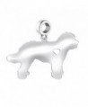 Golden Doodle Dog Charm | Golden Doodle Charm | Fits All European Style Bracelets | Sterling Silver - CJ12O375ONQ