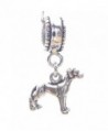 Smaller Sterling Silver Dangle Charms
