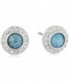 Karen Kane Ever bloom Eternity Stud Earrings - Silver Tone - CJ120SOUMBV