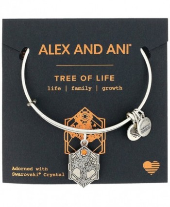 Alex Ani Rafaelian Silver Bracelet