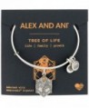 Alex Ani Rafaelian Silver Bracelet
