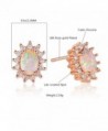 GEMSME Plated Created Zirconia Earrings