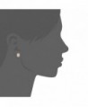 GEMSME Plated Created Zirconia Earrings in Women's Stud Earrings