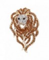 EVER FAITH Austrian Crystal Gorgeous Animal Lion Head Brooch - Brown Gold-Tone - CS11P2VISM1