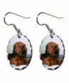 Canine Designs Dachshund Scalloped Edge Oval Earrings - CH117521FOX