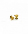 Chelsea Jewelry Collections screw back Earrings in Women's Stud Earrings